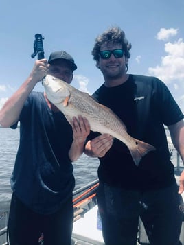 Live Action on Sabine Lake