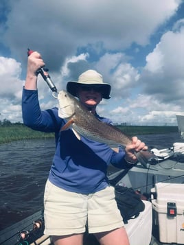 Live Action on Sabine Lake