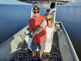 Live Action on Sabine Lake