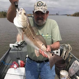 Live Action on Sabine Lake