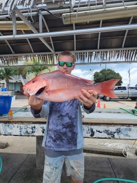 Red Snapper Fishing in Pensacola Beach, Florida