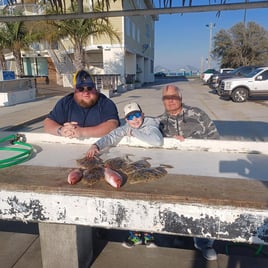 Flounder, Red Snapper Fishing in Pensacola Beach, Florida