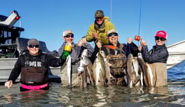 Chasing Fins on the Coastal Bend