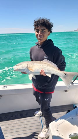 Redfish Fishing in Destin, Florida