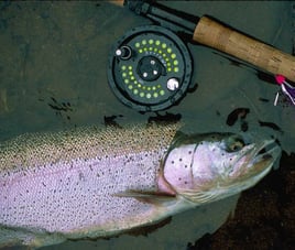 Alaska Float Fishing