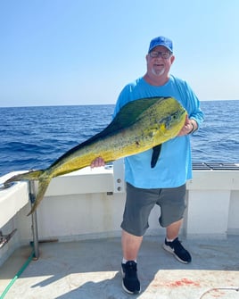 Mahi Mahi Fishing in Destin, Florida