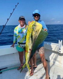 Mahi Mahi Fishing in Destin, Florida