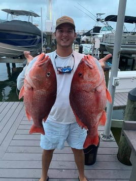 Red Snapper Fishing in Destin, Florida