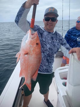 Red Snapper Fishing in Destin, Florida