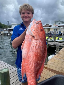 Red Snapper Fishing in Destin, Florida