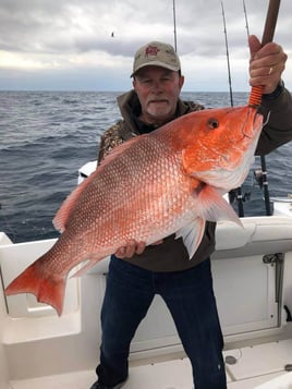 Red Snapper Fishing in Destin, Florida