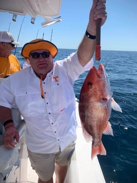 Red Snapper Fishing in Destin, Florida