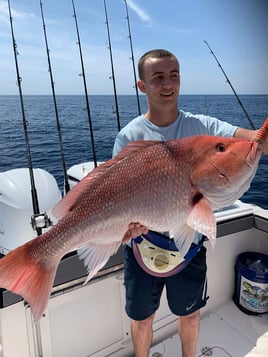 Red Snapper Fishing in Destin, Florida