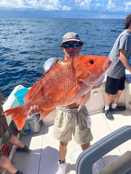 Full Day or 3/4 Day Red Snapper Trip - 28’ Grady White