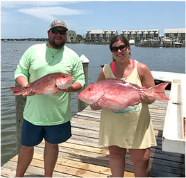 Half-day Red Snapper Trip - 28’ Grady White