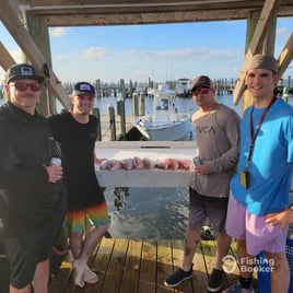 Fort Morgan Bottom Fishing