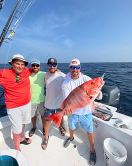 Red Snapper Fishing in Gulf Shores, Alabama