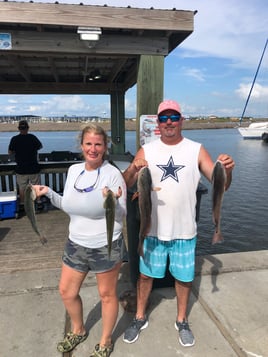 Baffin Bay Shallows