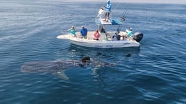 Destin Mixed Bag Trip