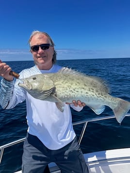 Destin Mixed Bag Trip