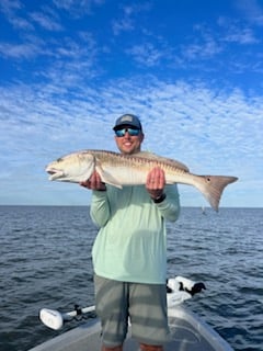 Full Day Inshore - 24' Blue Wave