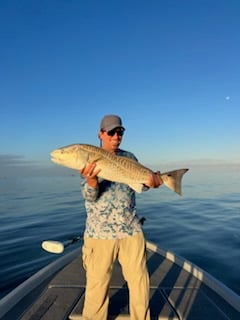 Full Day Inshore - 24' Blue Wave