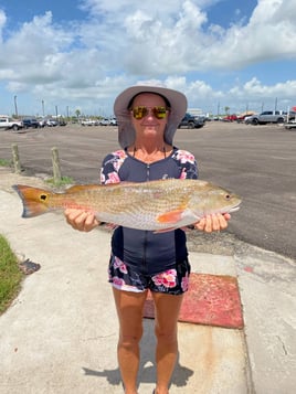 Rockport Reds on the Flats