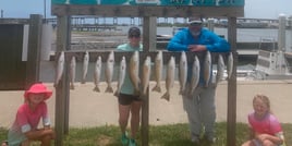 Rockport Reds on the Flats