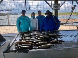 Matagorda Bay Inshore Slam