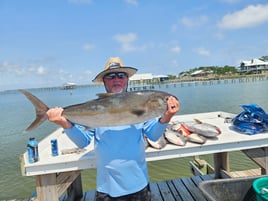 Amberjack Fishing in Orange Beach, Alabama