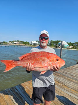 Red Snapper Fishing in Orange Beach, Alabama