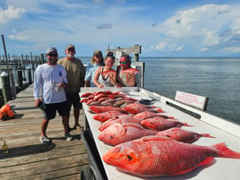 Red Snapper Fishing in Orange Beach, Alabama