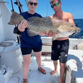 Gag Grouper Fishing in Gulf Shores, Alabama