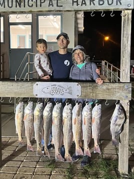 Black Drum, Redfish Fishing in Port Aransas, Texas