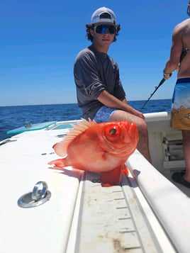 Panama City Fishing Rodeo