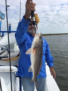 Aransas Pass Inshore Run