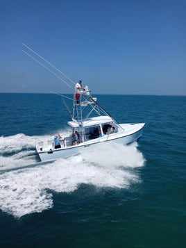 Marathon Key Nearshore Run