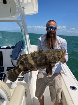 Florida Sportfish on Light Tackle