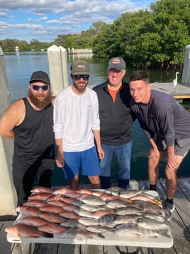 Florida Sportfish on Light Tackle