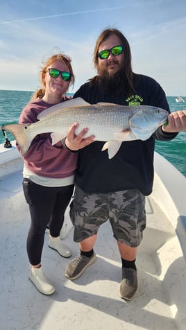 Redfish Fishing in St. Petersburg, Florida