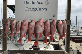 Biloxi Snapper Run