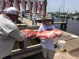 Biloxi Snapper Run