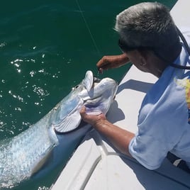 Clearwater Flats Fishing