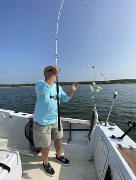 Half Day Striper Trip