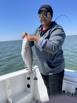 Half Day Striper Trip