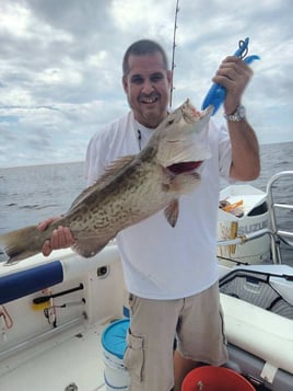 Offshore Fishing Frenzy