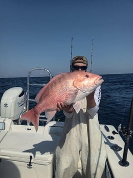 Offshore Fishing Frenzy