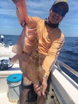 Offshore Fishing Frenzy