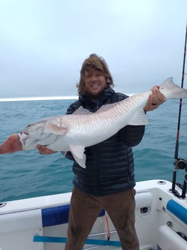 Redfish Fishing in Clearwater, Florida