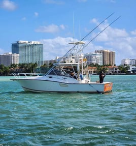 Miami Beach Mixed Bag